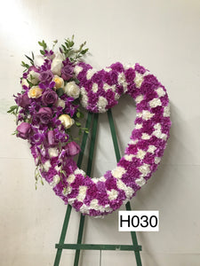 H030